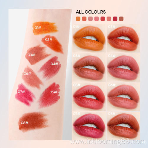 High Quality Cosmetic Private Label Matte Lipstick